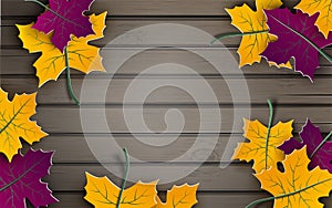 Autumn paper background, colorful tree leaves on wooden backdrop, design for fall season banner, poster or thanksgiving greeting