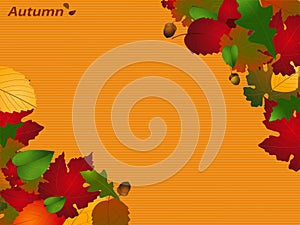 Autumn paper background with text and leafs