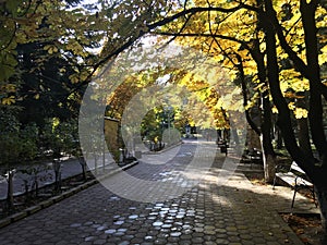 Autumn at Parcul Central
