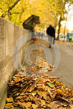 Autumn in Paris