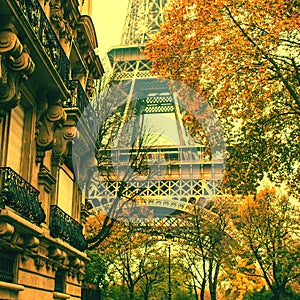 Autumn in Paris