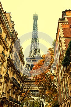 Autumn in Paris