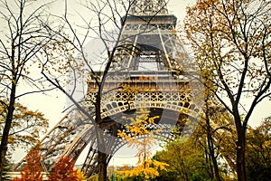 Autumn in Paris