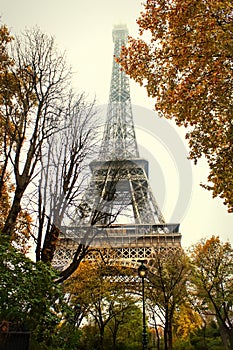 Autumn in Paris