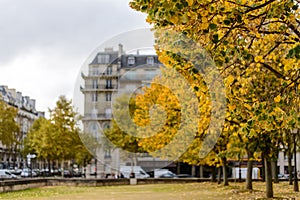 Autumn Paris,building among yellow trees focus on trees