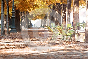 Autumn in Paris. Garden Tuileries