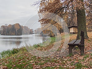 Autumn park.