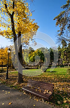 Autumn in park