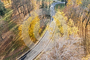 Autumn park, aerial view. winding bicycle lane surrounded by colorful yellow trees