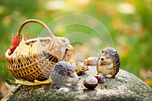 A basket with chestnuts