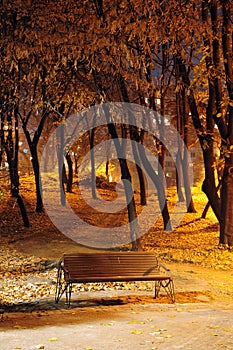 Autumn park bench. Night shoot