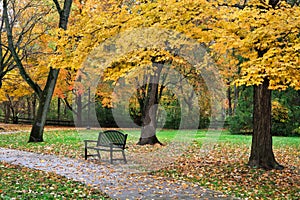 Autumn Park Bench