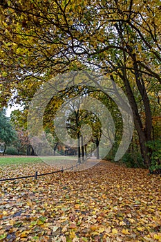Autumn Park in Berlin