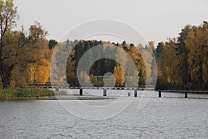 Autumn in the park with bridge above river and colorful trees in sunny day