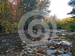 Autumn park in Canada at day time