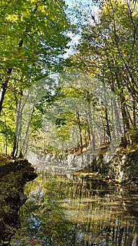 Autumn park in Canada at day time