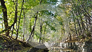 Autumn park in Canada at day time