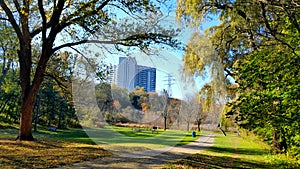 Autumn park in Canada at day time