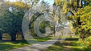 Autumn park in Canada at day time