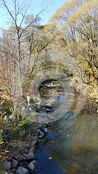 Autumn park in Canada at day time