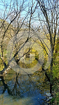 Autumn park in Canada at day time