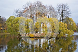 Autumn park in the city of Pushkin