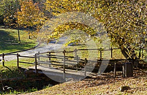 Autumn Park in the Collio