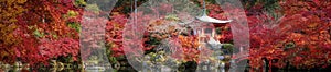 Autumn park in Daigoji templa with wooded bridge and pagoda in Kyoto city