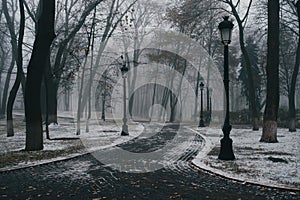 Autumn park in the days of the first snow