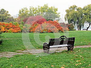 Autumn in the park - empty bench