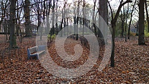 Autumn park, empty bench, bare trees and fallen leaves, late autumn in the city