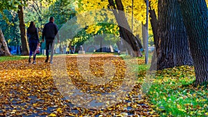 Autumn in the park