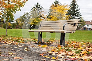Autumn in the park. Fallen leaves near bench and road in a local park with houses and trees in the background