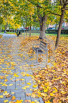 Autumn park with fallen maple leaves. Blanket of yellow leaves in the park. Autumn day in the park. Benches in the park. People