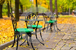 Autumn park with fallen yellow leaves. A place to relax with a cup of hot coffee