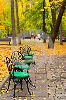 Autumn park with fallen yellow leaves. A place to relax with a cup of hot coffee