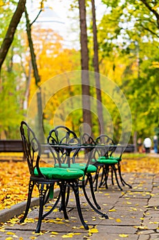Autumn park with fallen yellow leaves. A place to relax with a cup of hot coffee