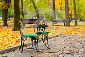 Autumn park with fallen yellow leaves. A place to relax with a cup of hot coffee