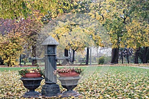 Autumn park with flower bed.