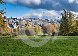 Autumn at a park with green grass and yellow and brown trees. Houses in the background