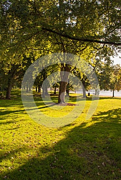 Autumn park in Helsinki