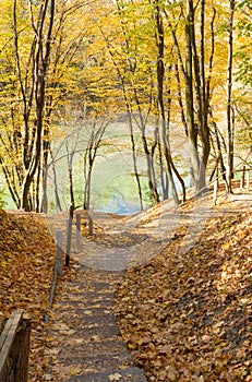 Autumn park in Kitaevo, Ukraine