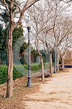 Autumn Park. Lampposts, trees without foliage and red leaves in the gloomy park