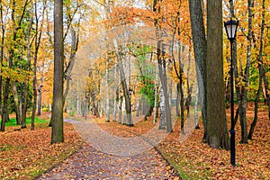 Autumn park landscape . Golden autumn in the city park. Photos on the calendar. Season.