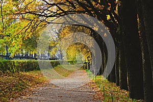 Autumn park landscape . Golden autumn in the city park. Photos on the calendar. Season.