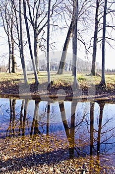 Autumn park landscape with pond