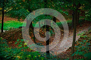 Autumn park landscaped nature outside scenic view photography with orange and brown colors on a ground, paved lonely trail for