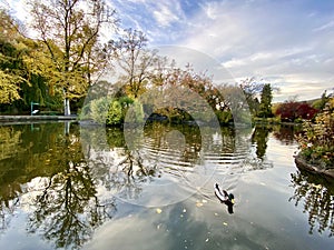 Autumn park in Matlock, United Kingdom. photo