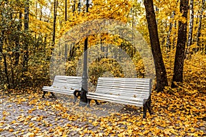 Autumn park in museum-reserve Tsaritsyno, Moscow