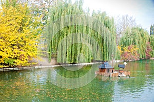 Autumn park in Myrhorod, Ukraine